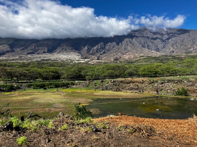 Site Plan Approval (SPA) for Nu'u Refuge