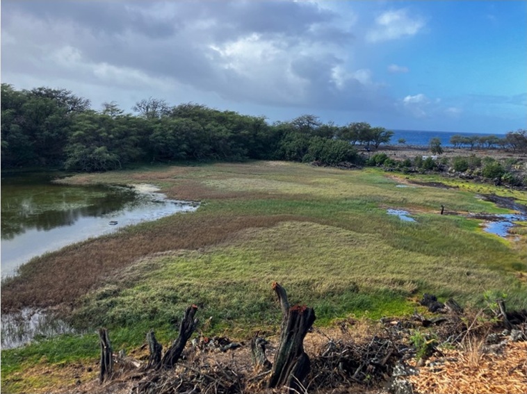 Site Plan Approval (SPA) for Nu'u Refuge
